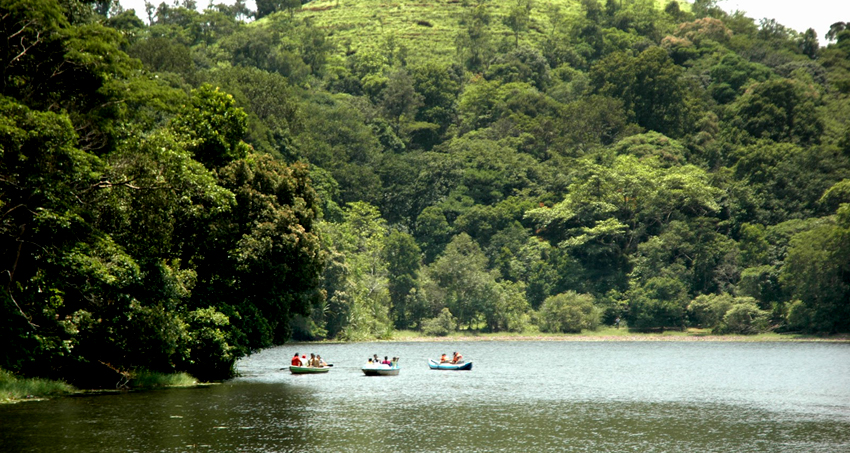 wayanad-star-tour-package