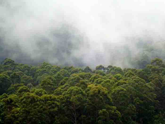 kodaikanal-mannavanur