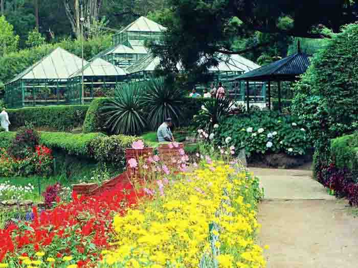 kodaikanal-park