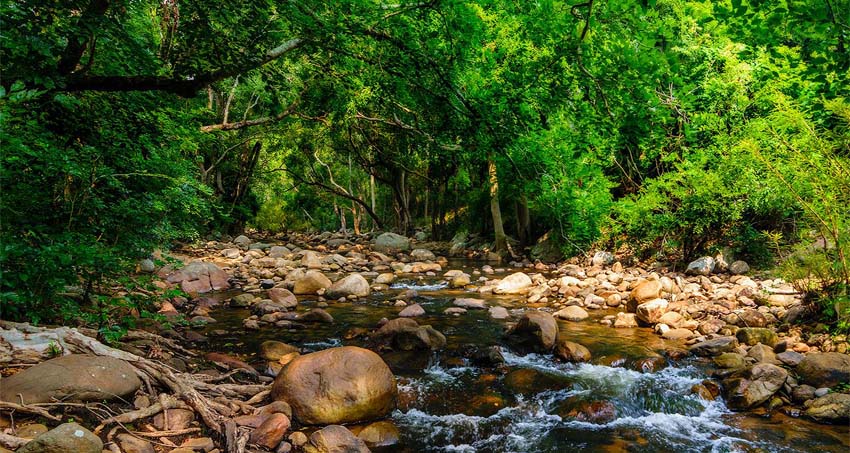 kerala-munnar-package1