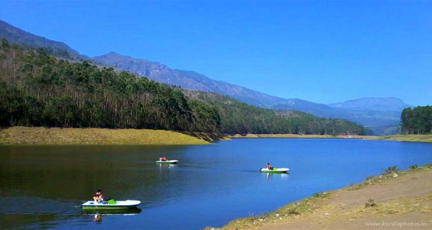 kerala-munnar-package