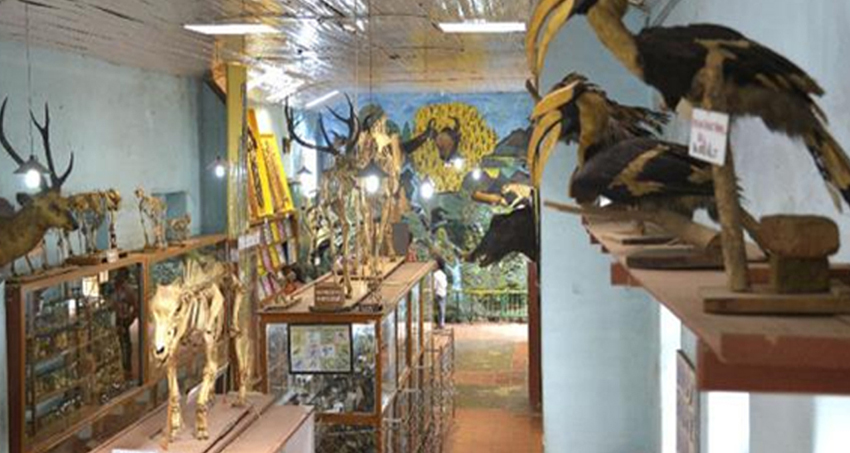 kodaikanal-anjuveedu-tour-package1