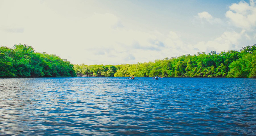 kodaikanal-berijam-forest-tours2