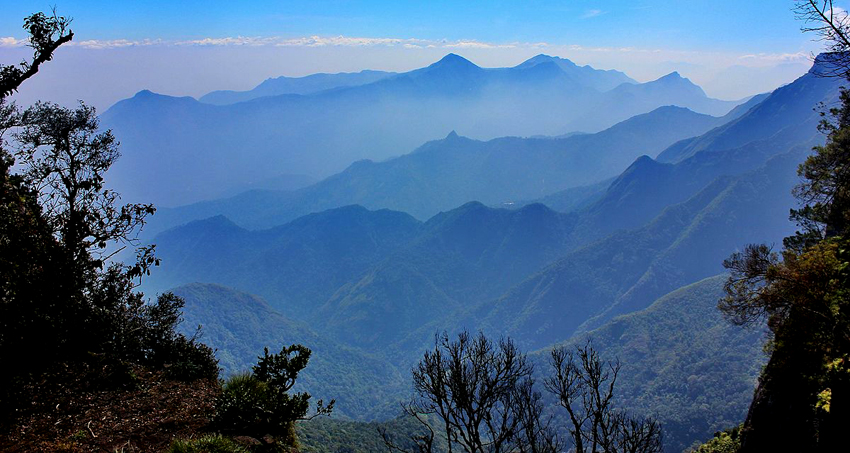 kodaikanal-berijam-forest-tours