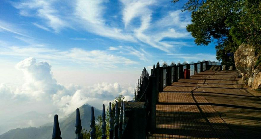 kodaikanal-fullday-local-sightseeing-tour