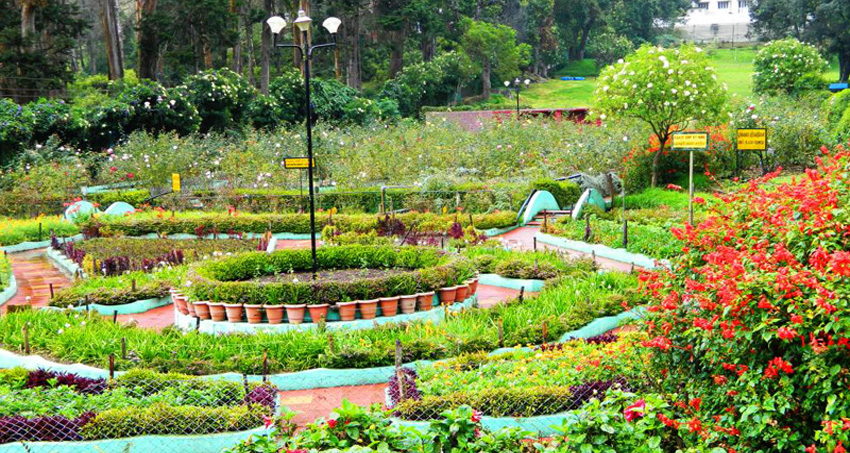kodaikanal-fullday-local-sightseeing-tour