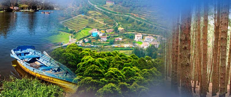 kodaikanal-gallery