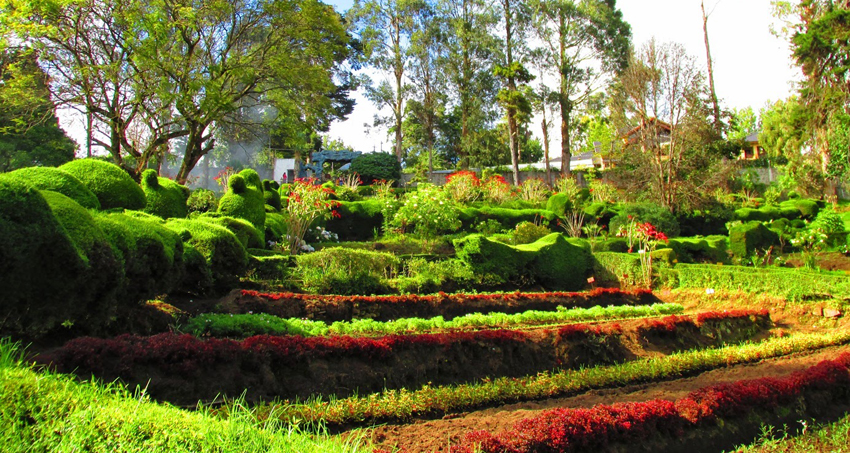 kodaikanal-park-tour-package