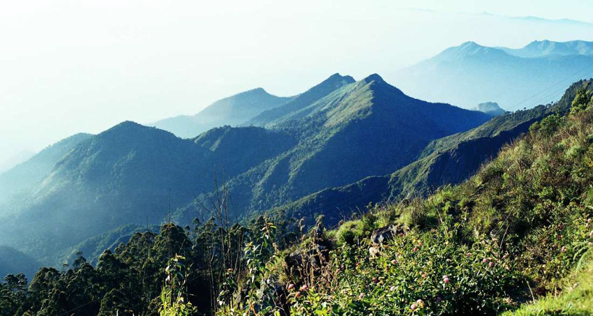 kodaikanal-picnic-tour-package