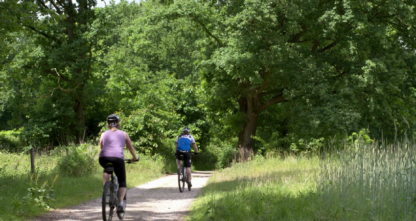 kodaikanal-star-honeymoon-package