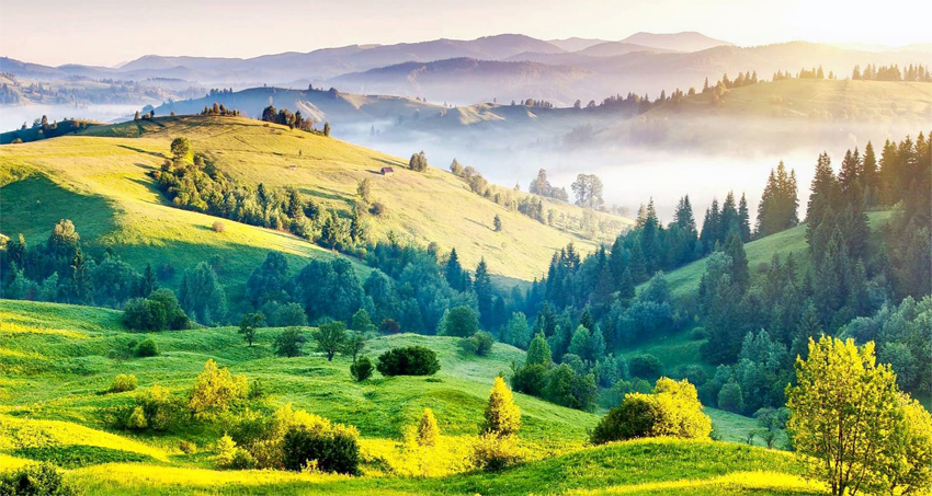 kodaikanal-star-tour-package