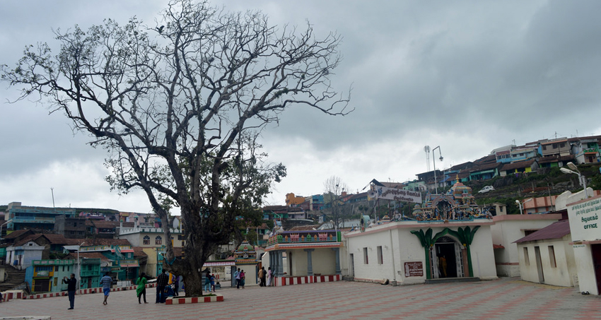 kodaikanal-village-tour-package