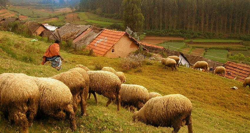 kodaikanal-village-tour-package