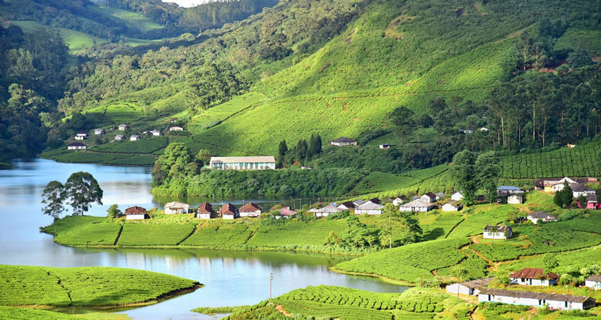 munnar-star-tour-package