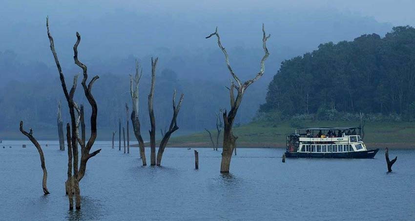 thekkady-munnar-alleppey-honeymoon-package