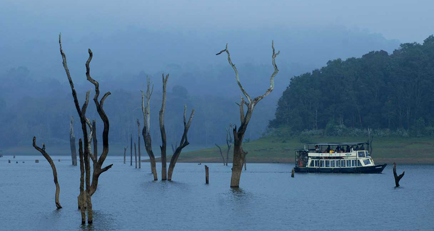 thekkady-munnar-tour-package