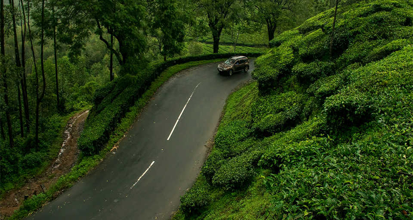 thekkady-munnar-tour-package