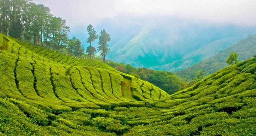 thekkady-munnar-tour-package