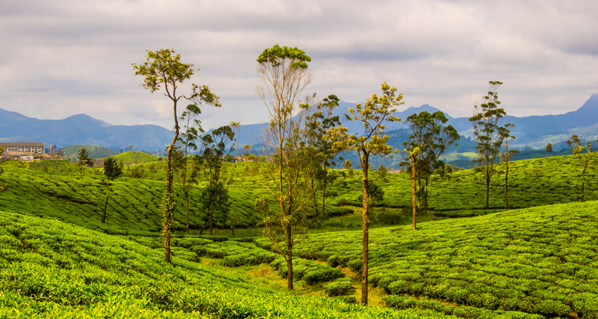valparai-hills-tour-package1