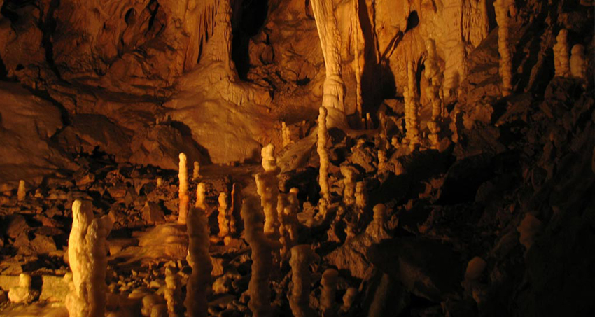 yercaud-tour-package1