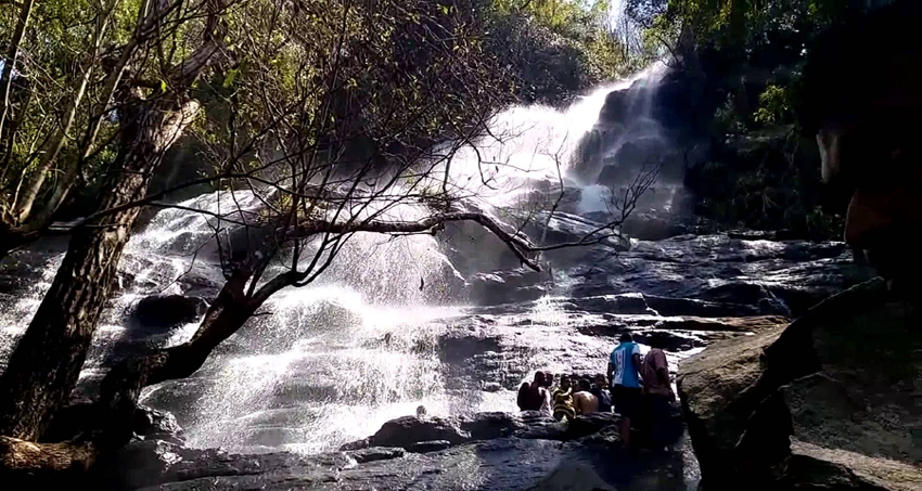 yercaud-tour-package